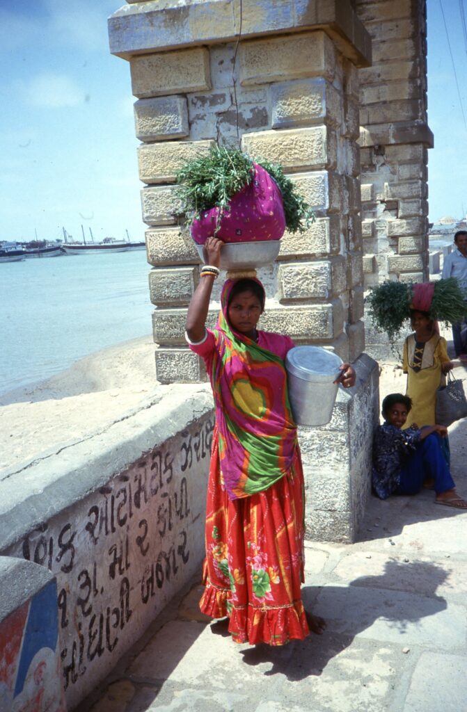 Onderweg in Noordwest India