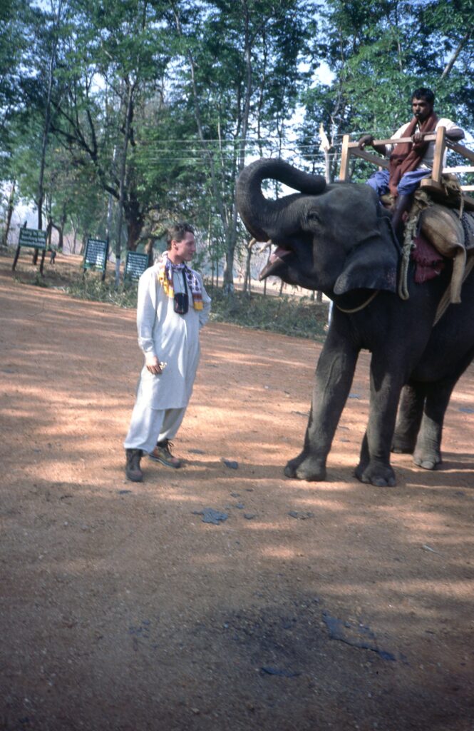 Safari per olifant in India