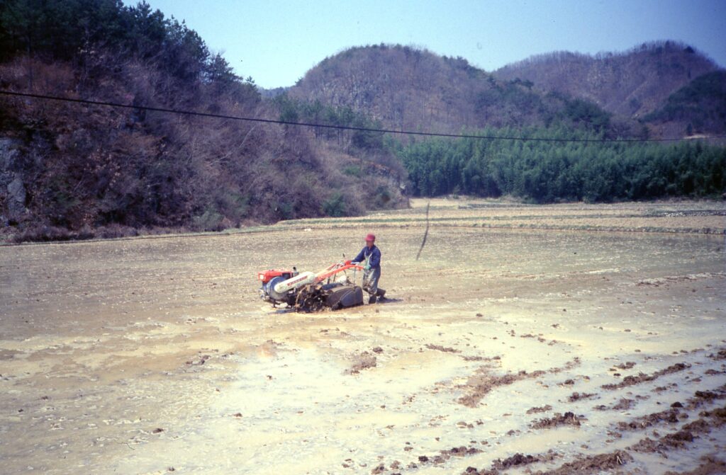 Boer bewerkt rijstveld in Korea